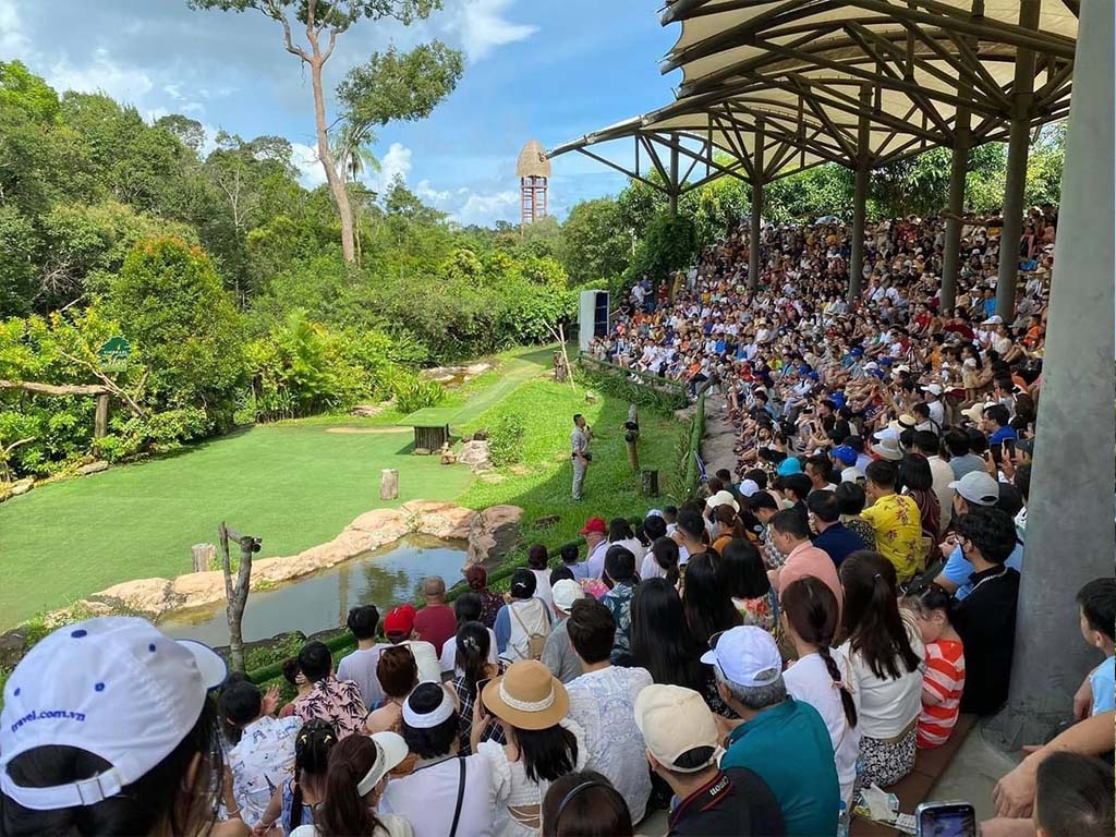 Hướng Dẫn Đi Safari Và VinWonders Phú Quốc Chi Tiết Nhất