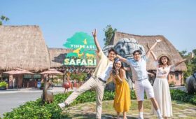 Hướng Dẫn Đi Safari Và VinWonders Phú Quốc Chi Tiết Nhất Cho Người Lần Đầu