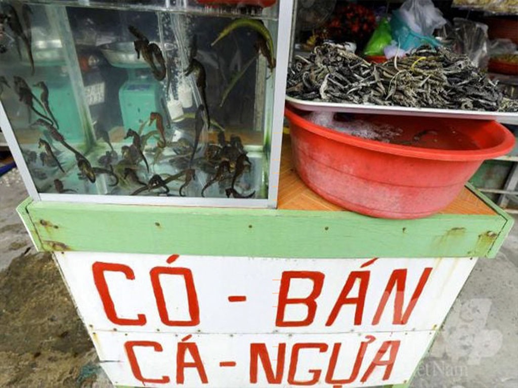 Khám phá chợ Hàm Ninh Phú Quốc