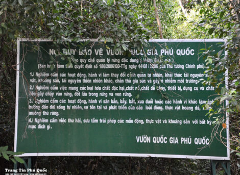 Khám Phá Vườn Quốc Gia Phú Quốc - Kenhphuquoc.com