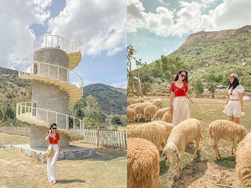 Đồng Cừu Suối Tiên - Vịnh Vĩnh Hy - Vườn Nho Ninh Thuận - Hang Rái - Royal Boton Blue Hotel & Spa Nha Trang