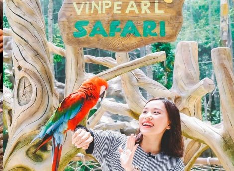 review-vinpearl-safari