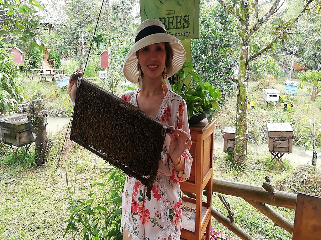 Trại Nuôi Ong Phú Quốc Bee Farm - Kênh Phú Quốc